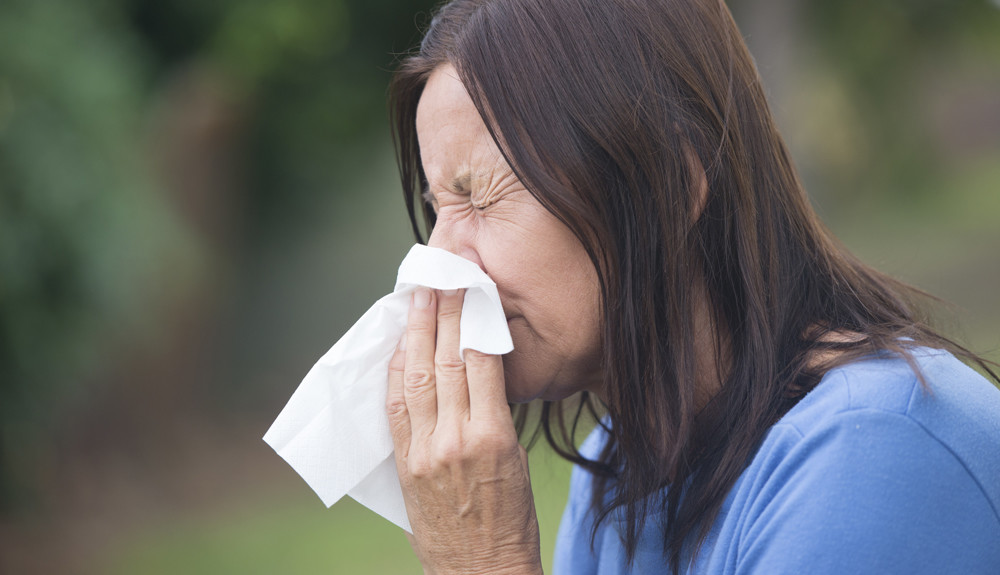 pollenallergia, szénanátha, felső légúti allergiás rhinitis,
