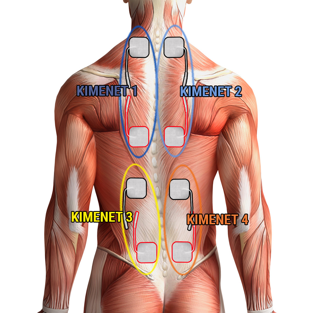 éles fájdalom a lapockák között a gerinc közelében hátfájás térd kezelése