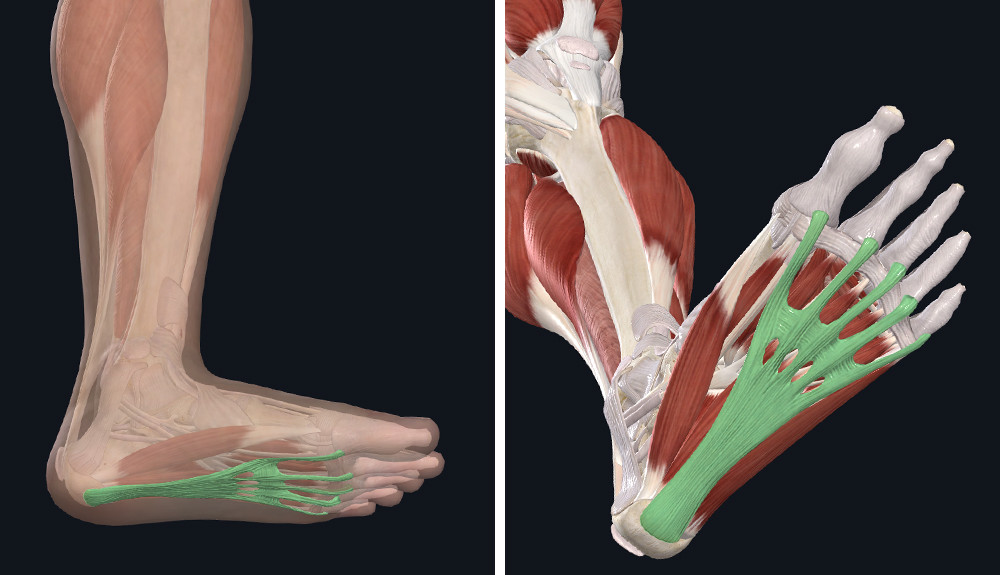 a láb artrózisa táplálkozás és kezelés kattintson a csípőízületre és fájdalomra